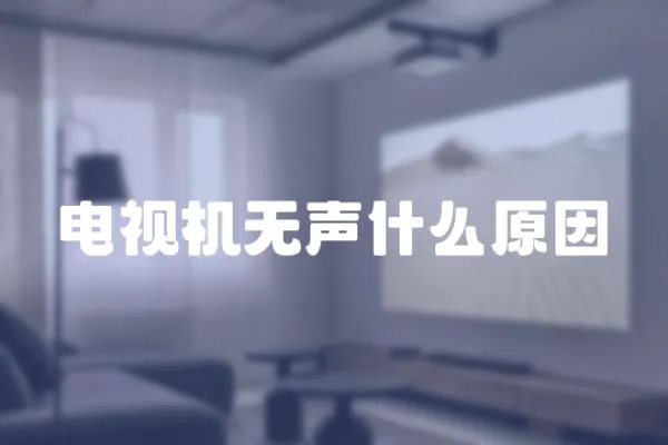 電視機無聲什么原因
