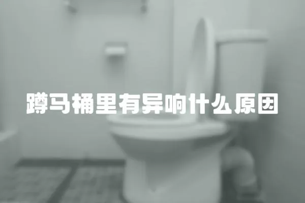 蹲馬桶里有異響什么原因