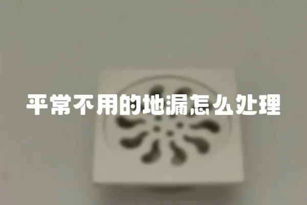 平常不用的地漏怎么處理