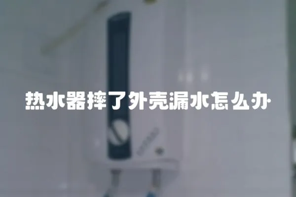 熱水器摔了外殼漏水怎么辦