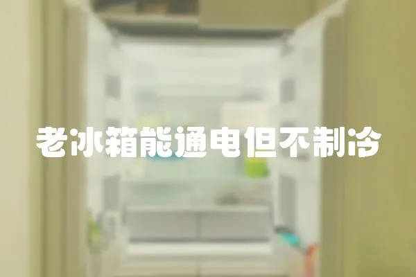 老冰箱能通電但不制冷