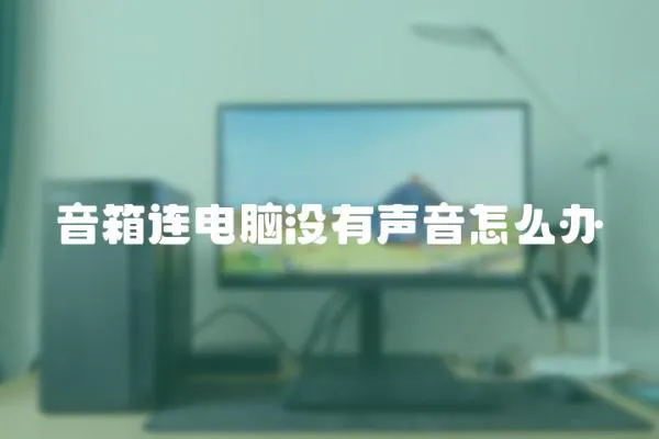 音箱連電腦沒有聲音怎么辦