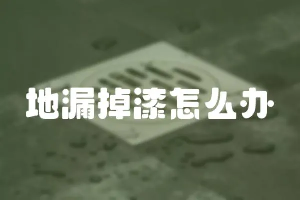 地漏掉漆怎么辦
