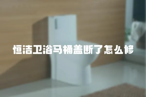 恒潔衛(wèi)浴馬桶蓋斷了怎么修