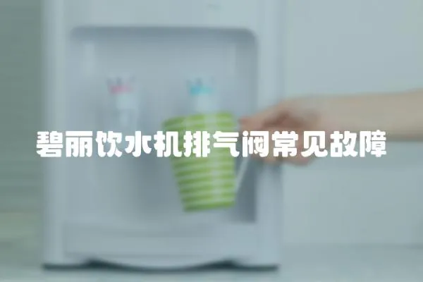 碧麗飲水機排氣閥常見故障