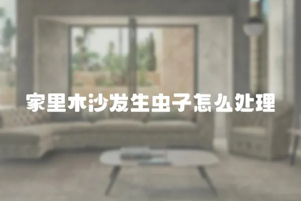家里木沙發生蟲子怎么處理