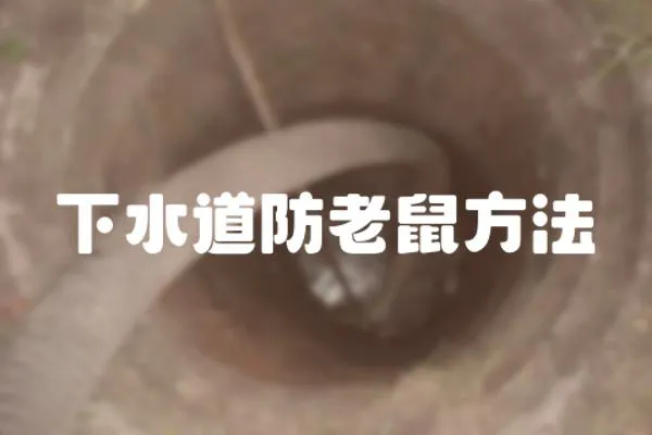 下水道防老鼠方法