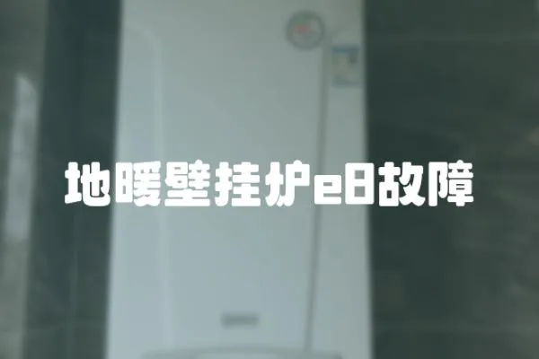地暖壁掛爐e8故障