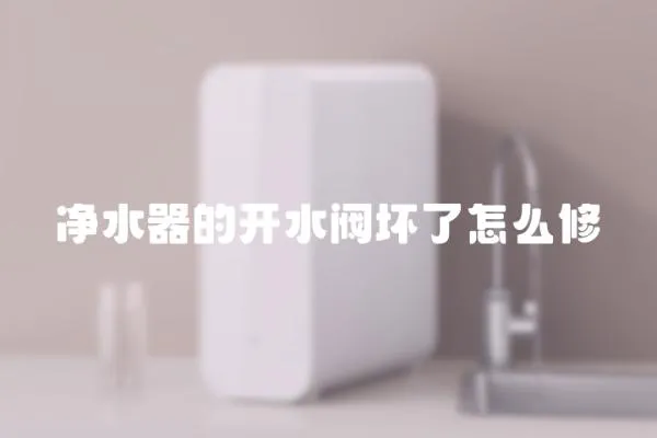 凈水器的開水閥壞了怎么修