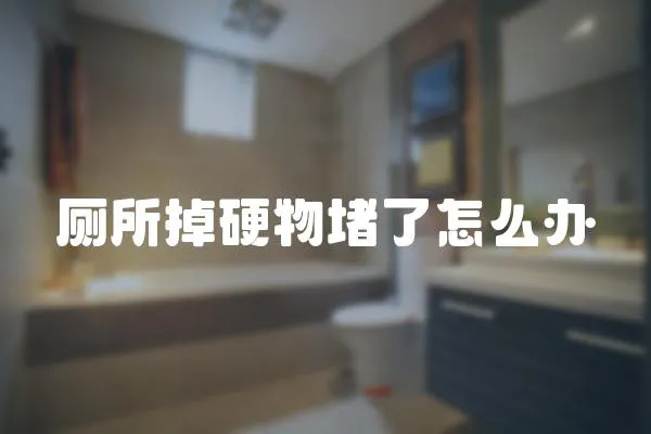 廁所掉硬物堵了怎么辦