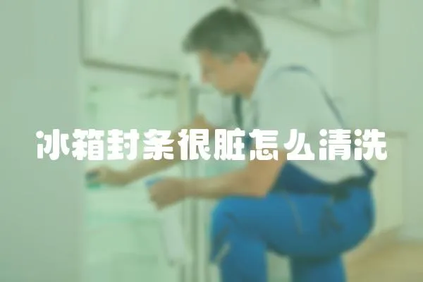 冰箱封條很臟怎么清洗