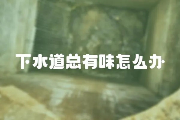 下水道總有味怎么辦