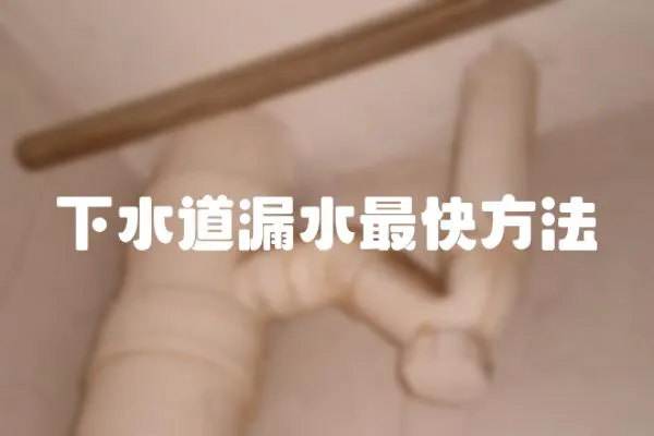 下水道漏水最快方法