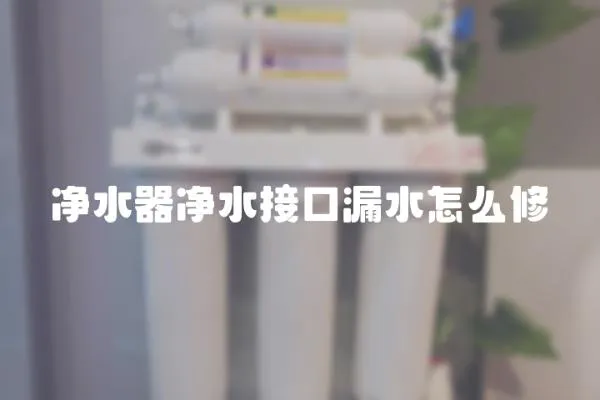 凈水器凈水接口漏水怎么修
