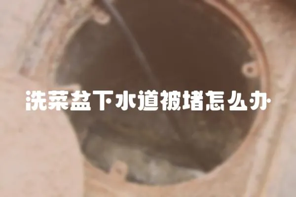 洗菜盆下水道被堵怎么辦