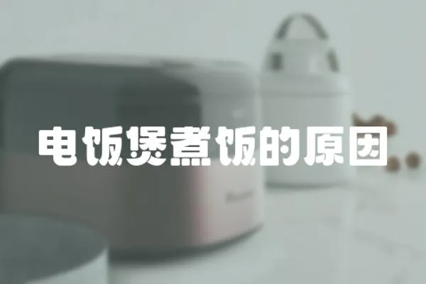 電飯煲煮飯的原因