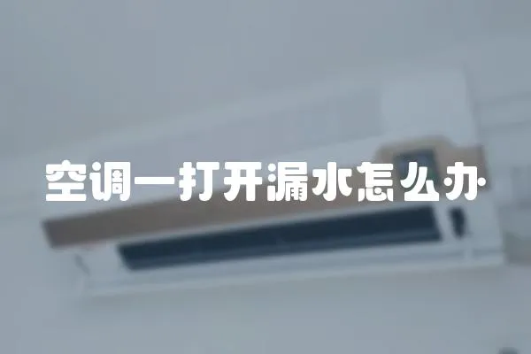 空調(diào)一打開(kāi)漏水怎么辦