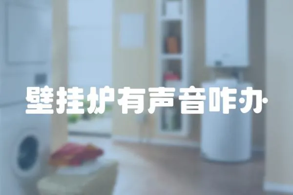 壁掛爐有聲音咋辦