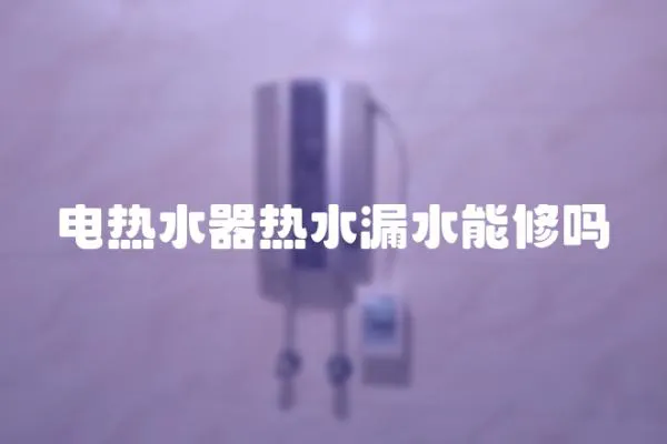電熱水器熱水漏水能修嗎