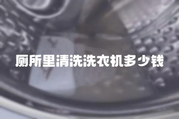 廁所里清洗洗衣機多少錢