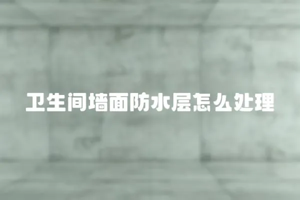 衛生間墻面防水層怎么處理