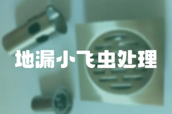 地漏小飛蟲處理