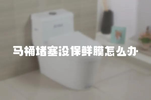 馬桶堵塞沒保鮮膜怎么辦