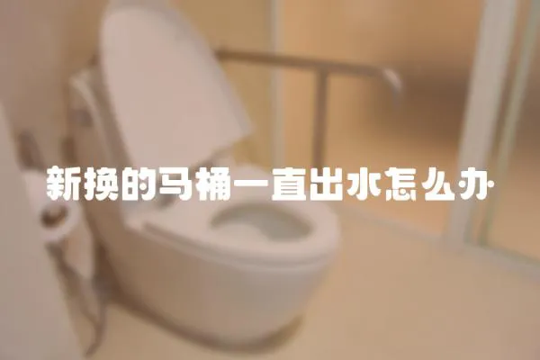 新換的馬桶一直出水怎么辦
