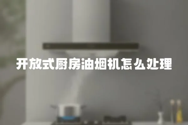 开放式厨房油烟机怎么处理