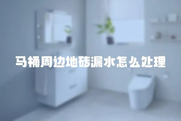 馬桶周邊地磚漏水怎么處理