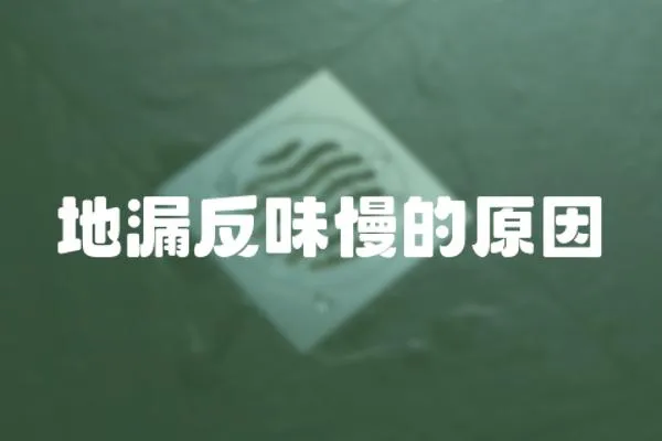 地漏反味慢的原因