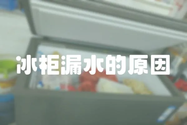 冰柜漏水的原因