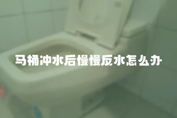 馬桶沖水后慢慢反水怎么辦