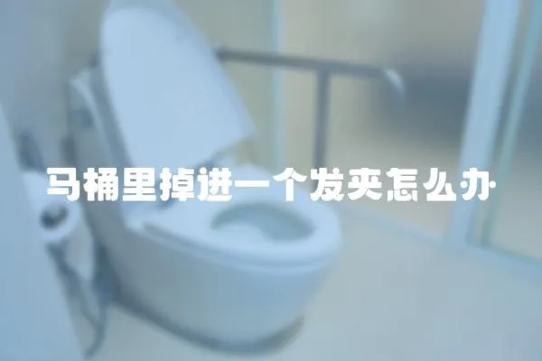 馬桶里掉進一個發夾怎么辦