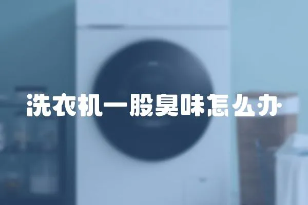 洗衣機一股臭味怎么辦