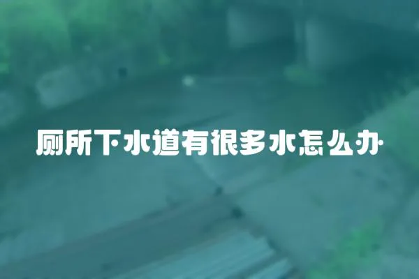 廁所下水道有很多水怎么辦