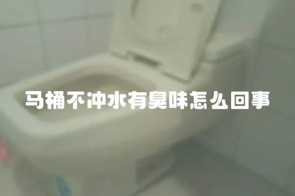 馬桶不沖水有臭味怎么回事