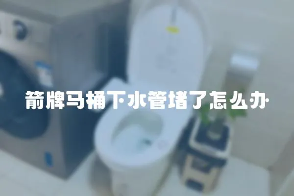 箭牌馬桶下水管堵了怎么辦