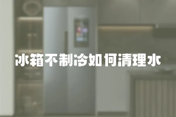 冰箱不制冷如何清理水