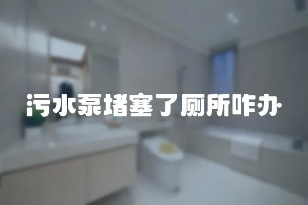 污水泵堵塞了廁所咋辦