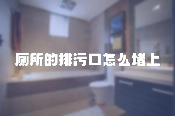 廁所的排污口怎么堵上