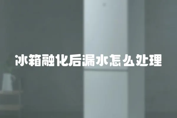 冰箱融化后漏水怎么處理