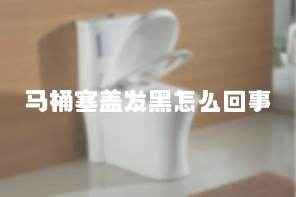 馬桶塞蓋發(fā)黑怎么回事