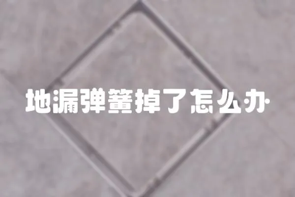 地漏彈簧掉了怎么辦