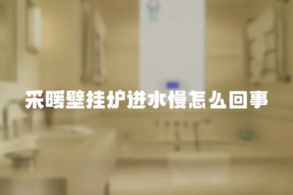 采暖壁掛爐進水慢怎么回事