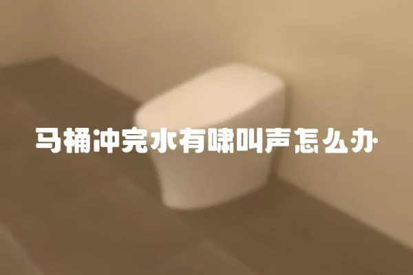 馬桶沖完水有嘯叫聲怎么辦