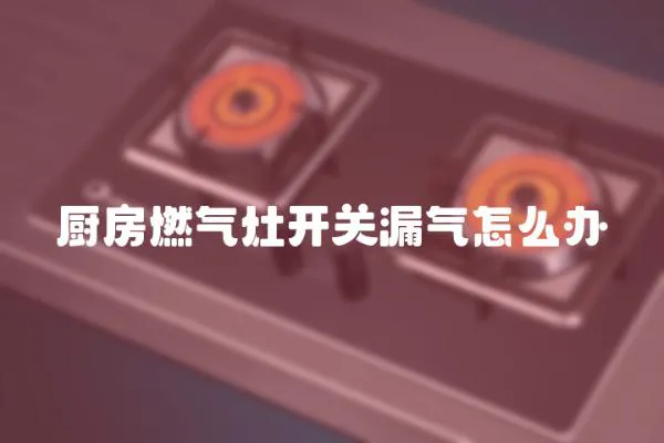 廚房燃氣灶開關漏氣怎么辦