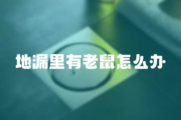地漏里有老鼠怎么辦