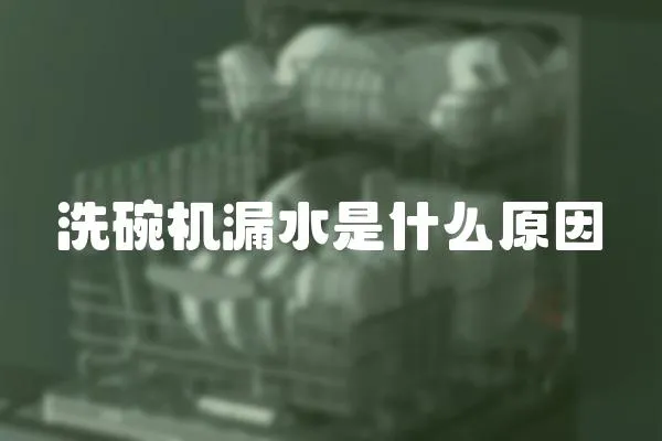 洗碗機漏水是什么原因