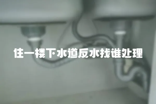 住一樓下水道反水找誰處理